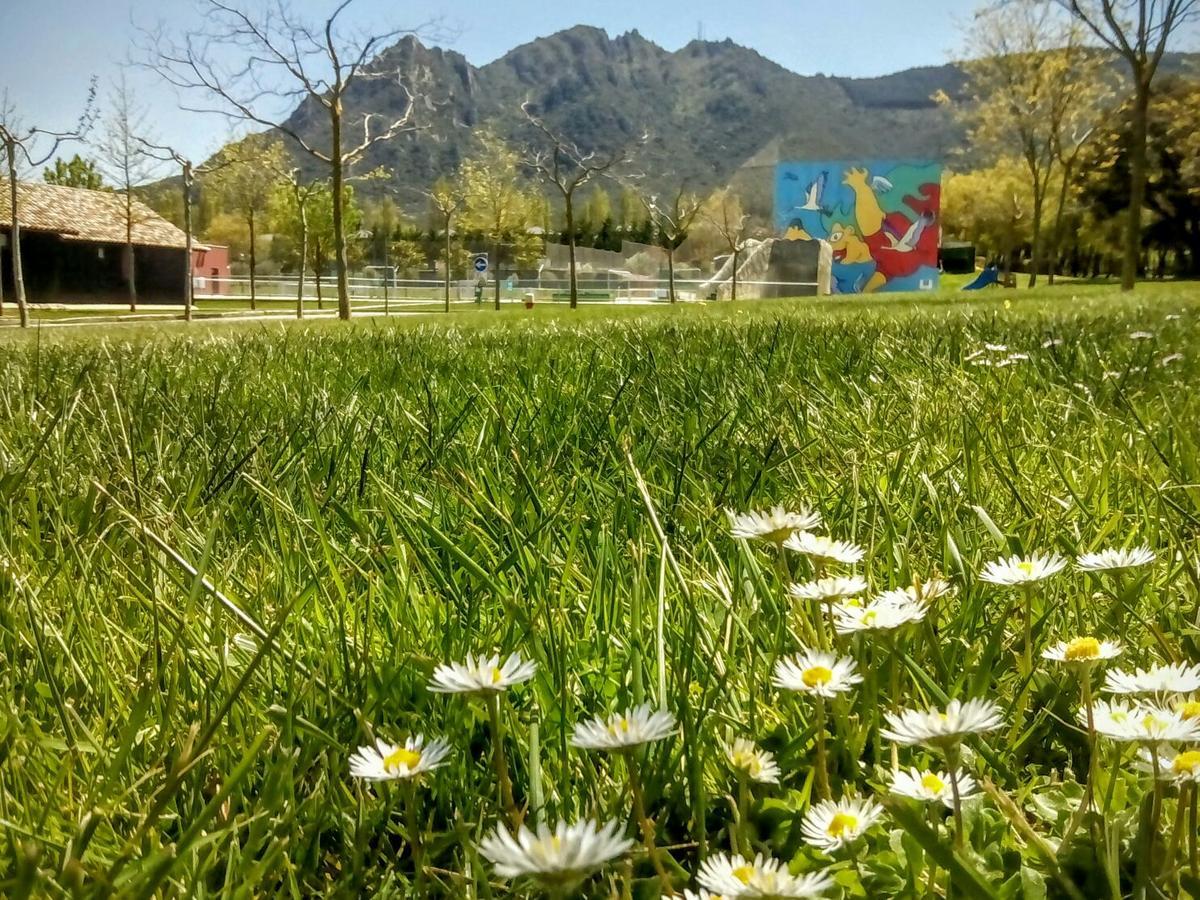 Camping Iratxe Ciudad De Vacaciones Ayegui Luaran gambar